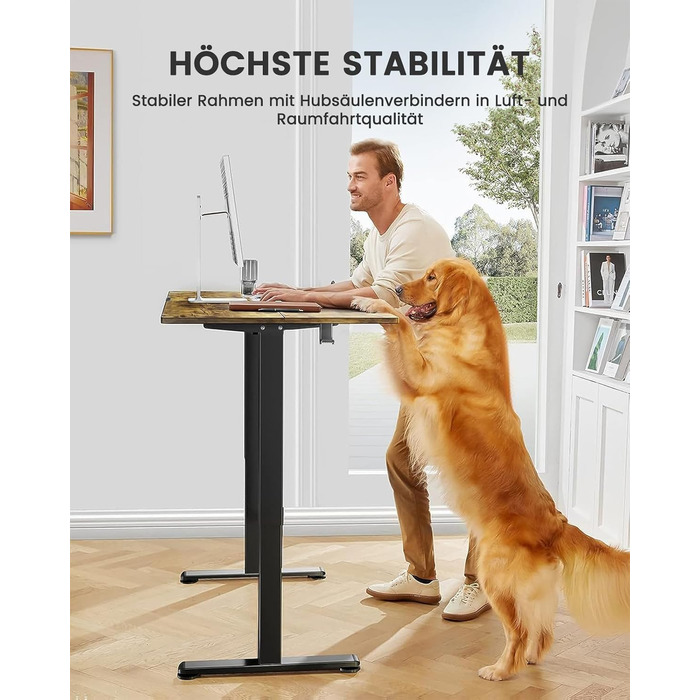 ErGear Electric Standing Desk 100x60cm - Vintage Wood Finish, Memory Height Adjustment for Home Office & Desk Connector Plate