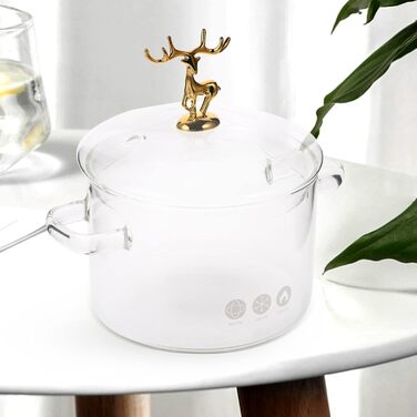 MAGICLULU 1 Piece Glass Pot with Lid Borosilicate Glass Cookware Transparent Cooking Pot for Pasta Salad