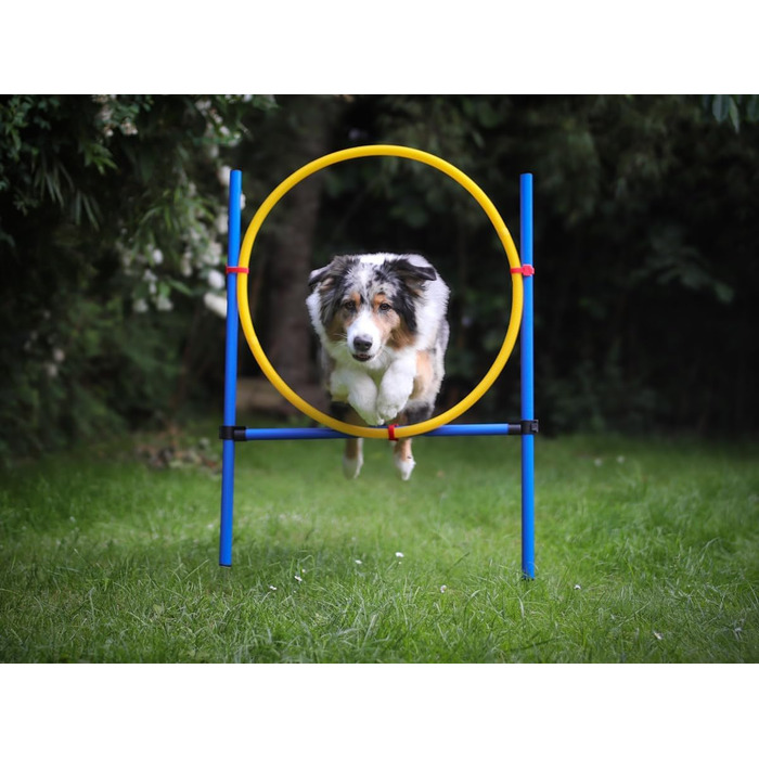 Набір для аджиліті NATIV LEMODO для собак | Тренування собак з бар'єром та стрибковим кільцем | Легкий у транспортуванні аксесуар для тренувань | Початковий набір у собачий спорт без тунелю