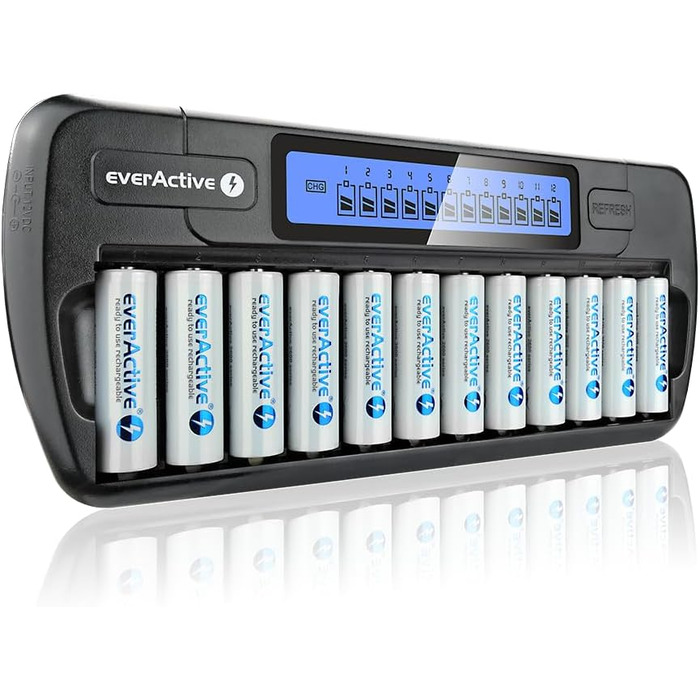 Зарядний пристрій everActive для 12 акумуляторів AAA/AA, швидка зарядка (4 години), LCD дисплей, режим оновлення, адаптер для автомобіля, модель NC-1200