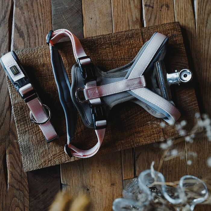 Нашийник для собак HUNTER Vario Plus Neopren, колір персиковий/сірий, розмір M-L, міцний нейлон, м'яка неопренова підкладка, регульований, з запобіжником, зручний у догляді