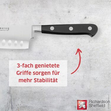 Набір ножів Richardson Sheffield Sabatier Trompette з підставкою, коричневий/сріблястий (Santoku 17,5 см)