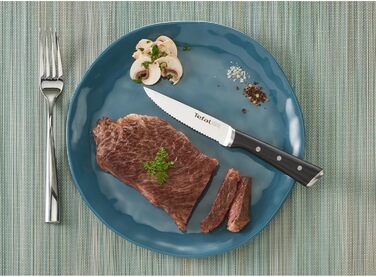 Набір ножів Tefal Ice Force 3 шт. (м'ясний 20 см, Сантоку 18 см, універсальний 11 см) + ніж для стейків, нержавіюча сталь, чорний, K232S3