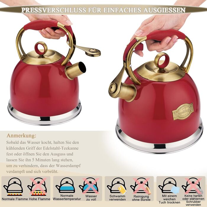 Чайник-свисток 3л з нержавіючої сталі, з термостійкою ручкою, для індукційних плит (червоний)