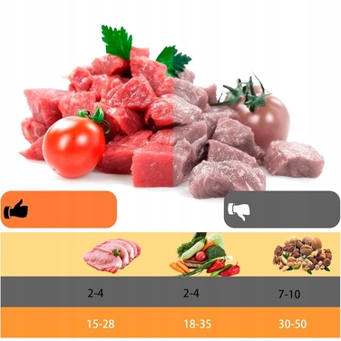Автоматичний вакуумний пакувальник для продуктів + 20 пакетів у комплекті