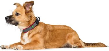 Нашийник для собак HUNTER Maldon, червоний, розмір M: дихаюча сітка, міцний нейлон, безшумний, гіпоалергенний, з поглиначем ривків, адресником, легкий