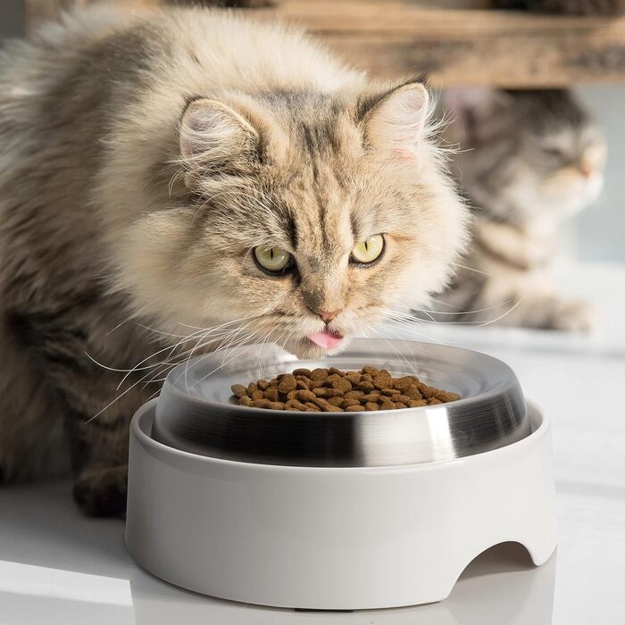 Набір мисок для котів CatGuru (2 шт.) - протиковзаючі, широкі, для зменшення стресу та втоми, сріблясті