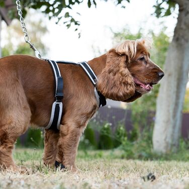 Нашийник для собак середнього розміру Ferplast ERGOCOMFORT, регульований, комфортний, з підкладкою, подвійний мікрорегулятор, швидка застібка, сріблястий колір. Розмір: M, обхват шиї 37-47 см, обхват грудей 55-65 см