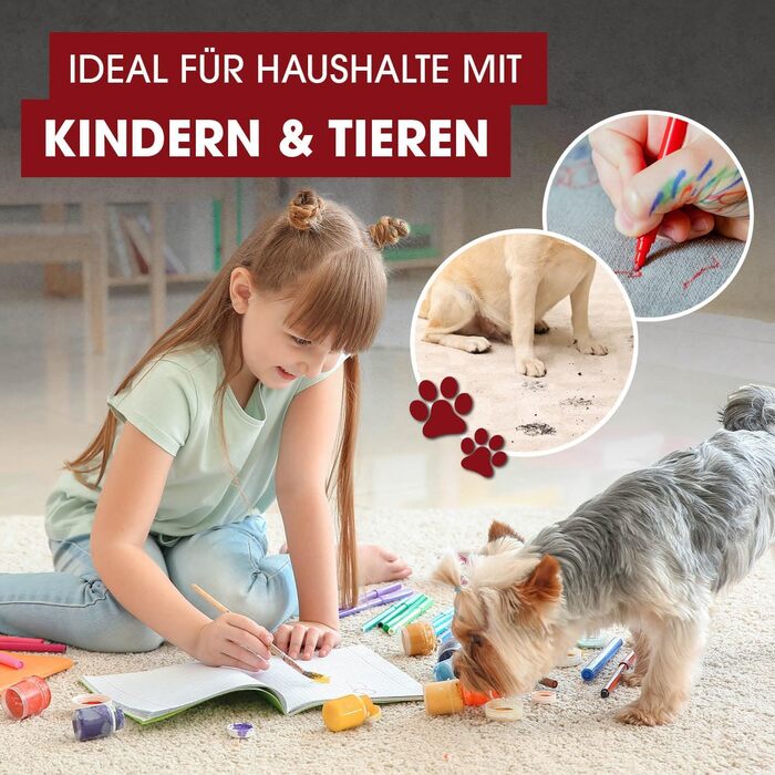 CLEANmaxx Пилосос для м'яких меблів та килимів: видалення плям, компактний, потужний | 400W, 9kPa, чорний