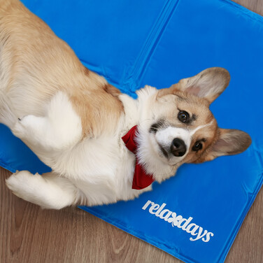 Relaxdays Blue Cooling Mat for Dogs