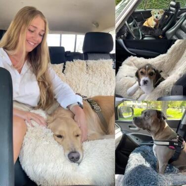 Автокрісло для собак SWZEC Pelzbarn, бежеве, розмір M (72x60 см)