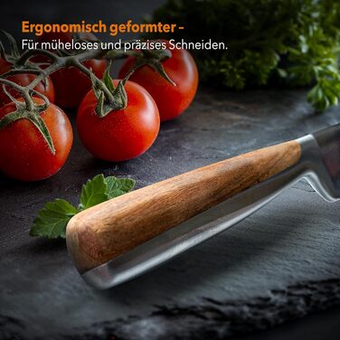 Baumfeld 6-Piece Knife Block Set - Premium Stainless Steel Kitchen Knives with Acacia Wood Magnetic Block - Professional Chef Knife Set