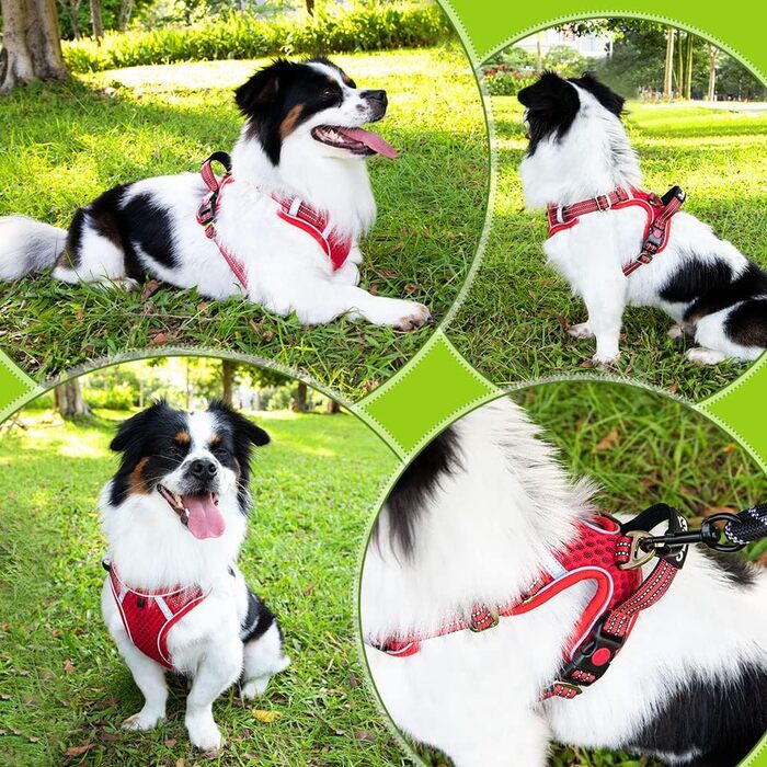 Шлейка для собак маленьких та середніх порід, Air Mesh дихаюча, з м'якою ручкою та замикаючими карабінами, вибухостійка, світловідбиваюча, червона, XS