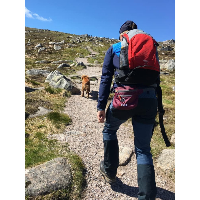 BOGG Універсальна сумка-переноска для собак | Диспенсер для пакетів та контейнер для відходів (Бромберг)