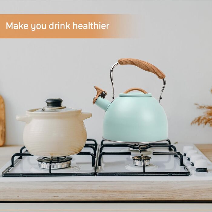 Чайник Wisebom Flötenkessel 3L: Ретро модель з нержавіючої сталі для індукційних та газових плит, з дерев'яною ручкою. Ідеально для чаю та кави.