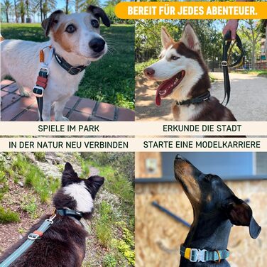 Нашийник для собак Nomadog Trailblazer S - міцний тактичний нашийник з ручкою для великих собак, алюміній, відбиваючий, регульований