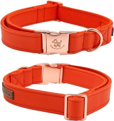 Ошатний нашийник та поводок для собак з шкіри - міцний нашийник для осені, регульований для маленьких собак, набір (1 шт.), помаранчевий