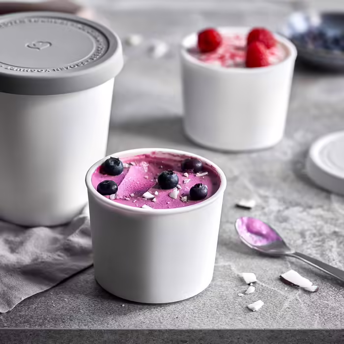 SPRINGLANE Ice Cream Container Set of 2, 500 ml, Stainless Steel, Ice Cream Container To Go, Freezer Container (Gray - Mini 4-piece set)