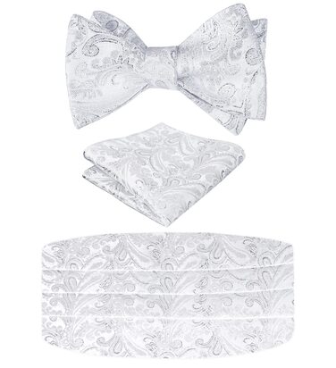 Комплект краватка-хустинка Alizeal Paisley сріблястий, чоловічий, однорозмірний