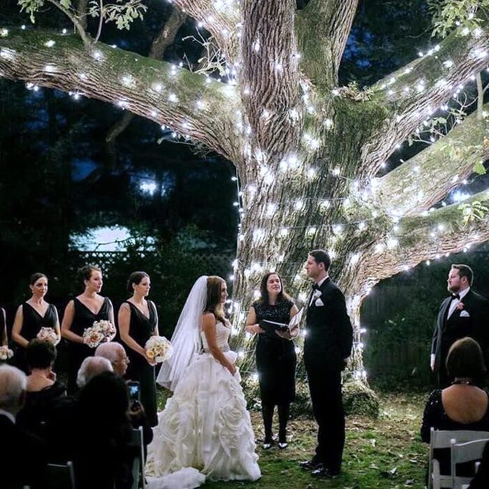 Ланцюжок прикрас LED, 10м, 100 світлодіодів, з пультом та таймером, 8 режимів, вологостійкий IP65, тепле біле світло, для дому та вулиці, для святкування, 1 шт. (2 в 1 USB & батарейка)