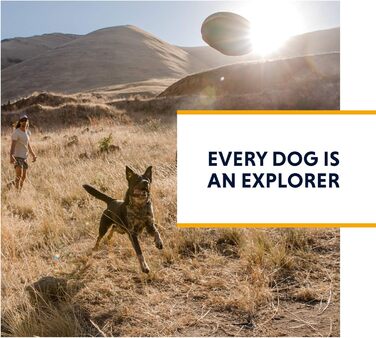 RUFFWEAR, Flat Out Leash, Wildflower Horizon