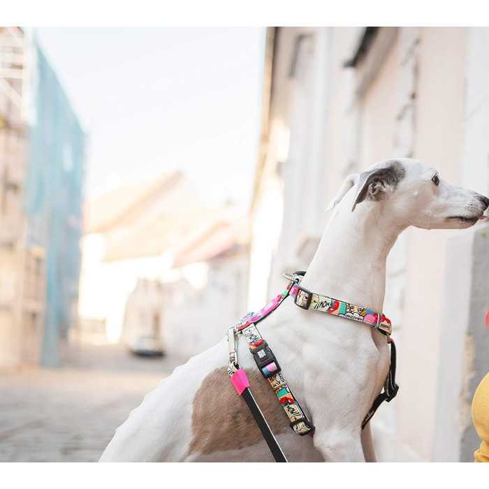 Нашийник для собак Max & Molly H-подібної форми, Ultrabequemes Geschirr Hund з неопрену для дуже маленьких собак, Little Monsters, з підкладкою, безпечний та ультралегкий - комфорт для вашого вірного компаньйона (M)