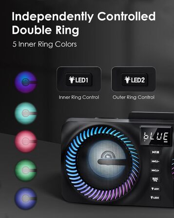 Караоке система All-in-One з Bluetooth, 2 мікрофонами та акустикою 30W, PA система для вечірок (Чорний)