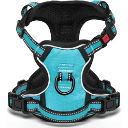 колір: хімблау