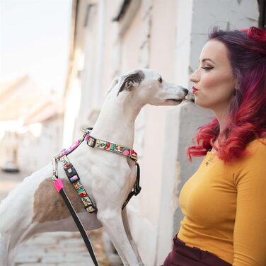 Нашийник для собак Max & Molly H-подібної форми, Ultrabequemes Geschirr Hund з неопрену для дуже маленьких собак, Little Monsters, з підкладкою, безпечний та ультралегкий - комфорт для вашого вірного компаньйона (M)