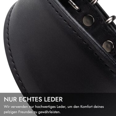 Стильне шкіряне нашийник для породистих собак (Вінтерхаунд, Віпет, Салукі) з QR-кодом, розмір M