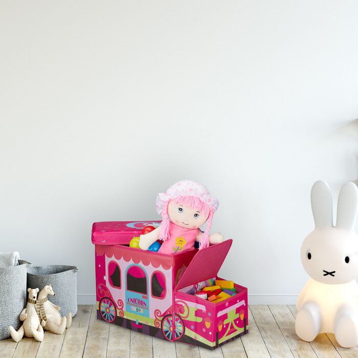 Kids' Storage Box