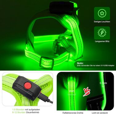 Світловідбиваючий нашийник для собак PZRLit з LED підсвічуванням, зарядний, для маленьких собак, XS, для безпечних прогулянок вночі (зелений)