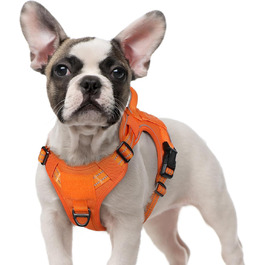 колір: помаранчевий