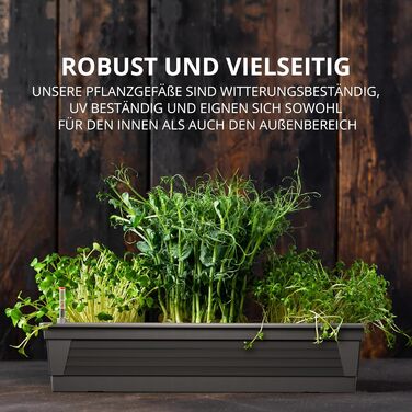 Plastard Milano Flower Box Set of 3, 60 cm long, Anthracite color with water reservoir and water level indicator. Planting box for garden and balcony, weather-resistant for indoor and outdoor use.
