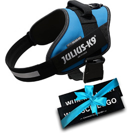 Шлейка Julius K-9 IDC Powergeschirre з індивідуальним нанесенням, для собак маленьких, середніх та великих порід, 16IDC+CUSTOMP-B (Аквамарин)