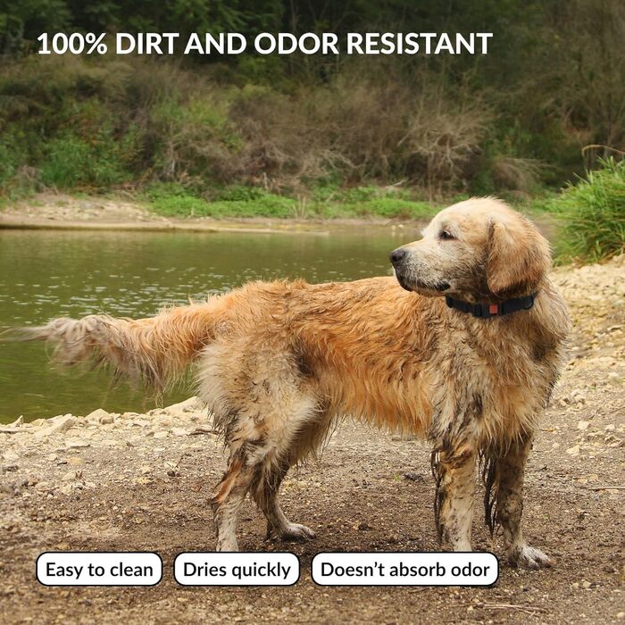 Водонепроникний нашийник для собак CollarDirect, регульований, силікон та пластик, стійкий до запахів, легко миється, безпечна застібка, для малих, середніх та великих собак (XL (45-66 см), S (25-33 см), Червоний)