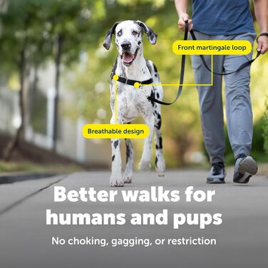 Нашийник для собак Petafe Eay Walk, запобігає потягування, чорний, XL