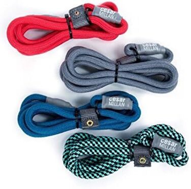 Leine - Training lead for dogs - 2in1 dog collar and lead - Slip lead - Retriever lead with integrated collar (Small/Medium - Color: ) - Length 120 cm, Diameter 1 cm (S/M, Black)