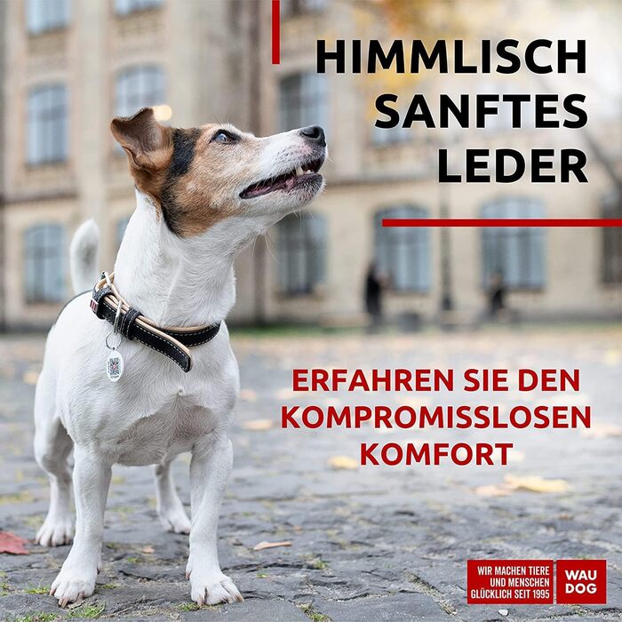 Нашийник для собак WAUDOG: шкіряний нашийник для великих, середніх та маленьких собак, цуценят. Ширина 15 мм, довжина 27-36 см. Чорний колір.