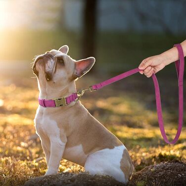 Шлейка для собак Didog з м'якої шкіри, міцна, з надійною застібкою, регульована, для середніх та маленьких собак, розмір M (13-21 см), фіолетовий