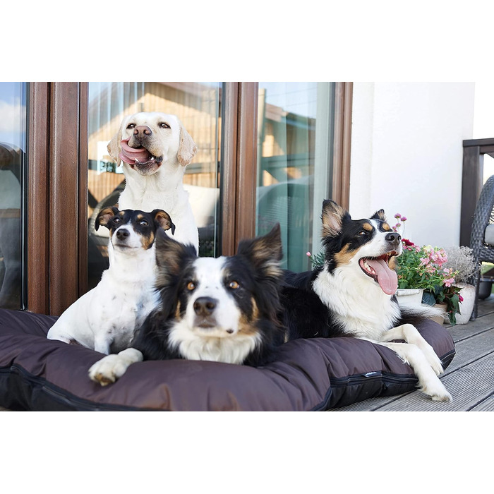 Ліжко для собак середніх порід 4L Textil KLEO, 90x70 см, водонепроникне, знімний чохол, темно-зелене