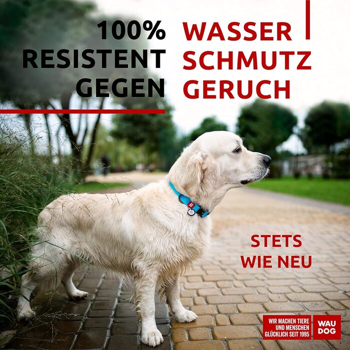 Нашийник для собак WAUDOG: водонепроникний, регульований, для великих, середніх та малих собак, з металевою застібкою, блакитний (31-49 см, 25 мм)