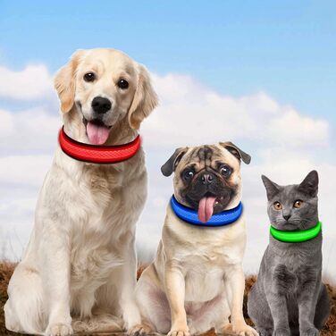 Світловідбиваючий нашийник для собак AUAUY LED, USB-зарядка, водонепроникний, регульований, безпечний, 6 кольорів (-S), S(11.8-15.7'/30-40 cm) (Червоний)