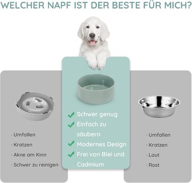 Керамічна миска для собак та котів SPUNKYJUNKY, 1250 мл, світло-зелена