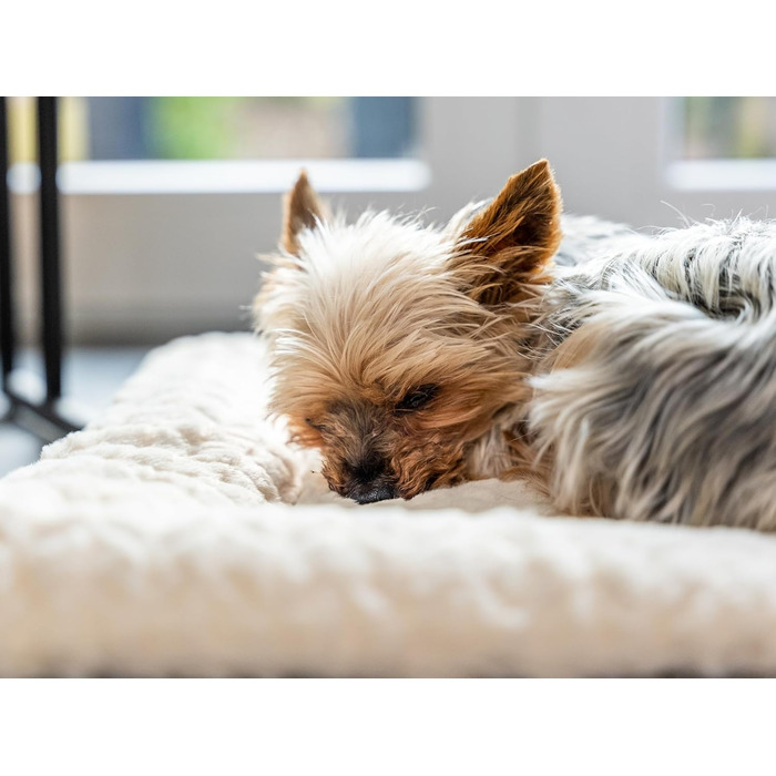 TrendPet Лежанка для собак і котів, двостороння, з підкладкою, 90x65 см, бежева