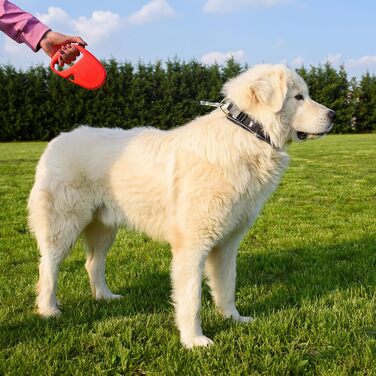 Рулетка для собак Ferplast Flippy ONE, чорна, до 25 кг, 5 м