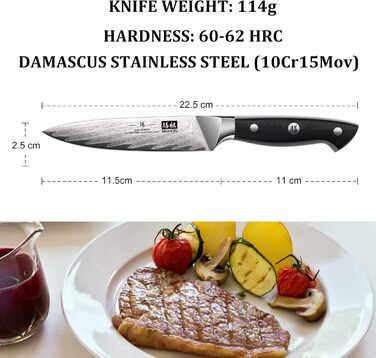 Японський кухонний ніж SHAN ZU Damast, 67-шарів, з нержавіючої сталі AUS10, професійний шеф-ніж з ручкою G10, подарункова коробка (набір столових ножів на 4 персони)