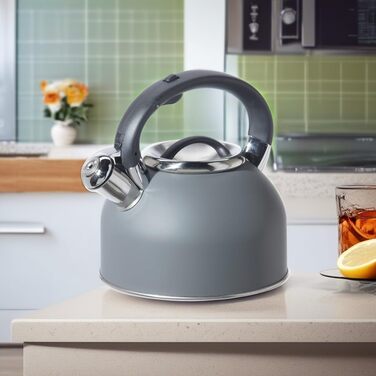 Чайник OGGI для плити, 1.9 л, нержавіюча сталь, з гучною свистком, ідеальний для приготування гарячої води