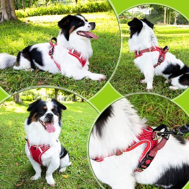 Шлейка для собак маленьких та середніх порід, Air Mesh дихаюча, з м'якою ручкою та замикаючими карабінами, вибухостійка, світловідбиваюча, червона, XS