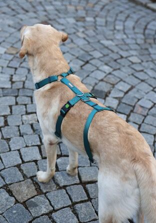 Нашийник-захист для собак Kerbl Pet Panikgeschirr, 38-52 см, 20 мм, для тривожних собак, регульований, Petrol